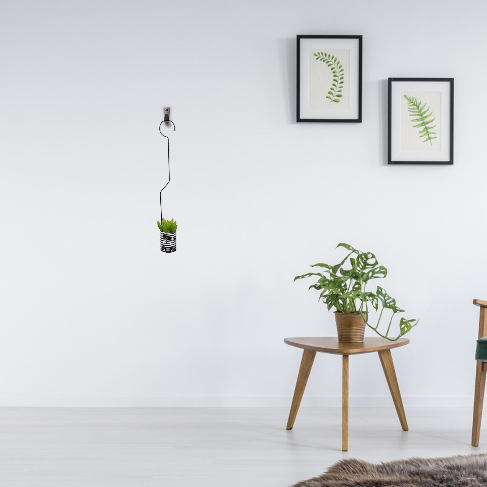 Air Plant Tillandsia - 1Pcs Vintage Iron Air Plant Holder