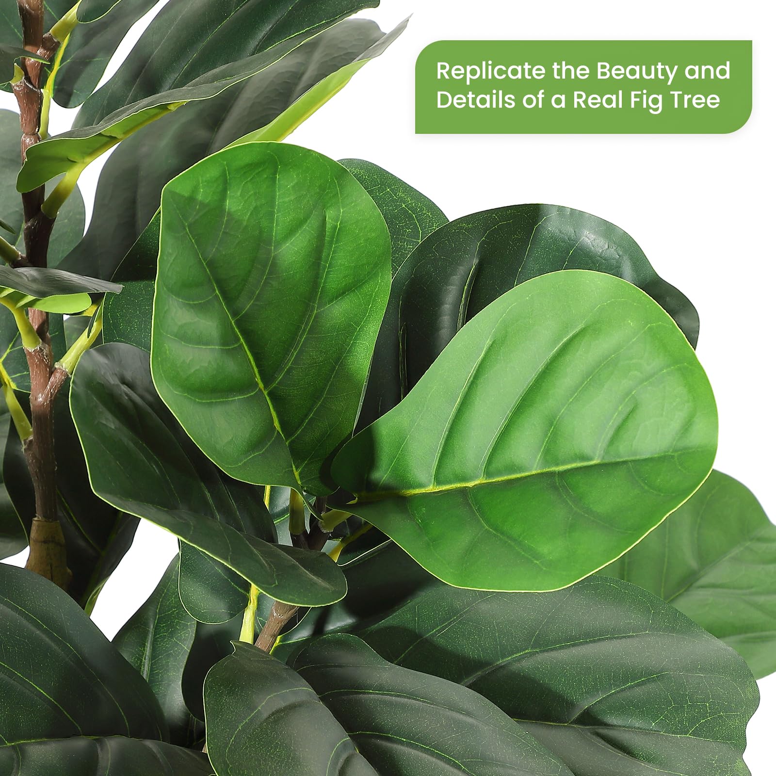 Artificial Fiddle Leaf Fig Tre - đánh giá và giá Rubber Plant Ficus