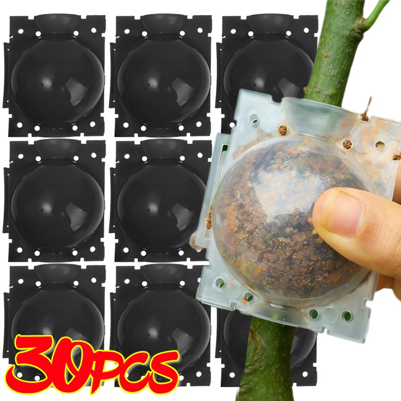 Reusable Plant Rooting Ball Gr - đánh giá và giá Plant Parents