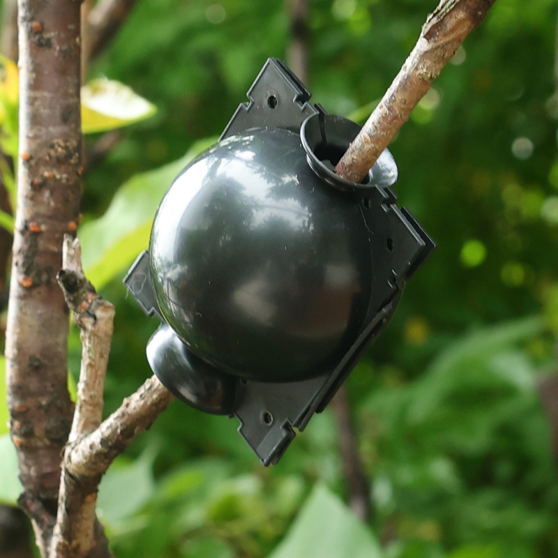 Reusable Plant Rooting Ball Gr - đánh giá và giá Plant Parents