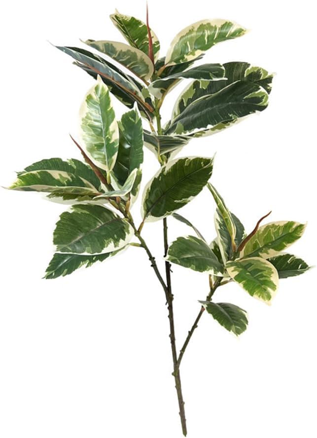 Ficus Tineke Artificial Plant  - đánh giá và giá Rubber Plant Ficus