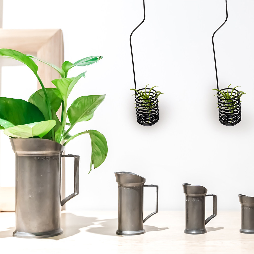 3Pcs Adjustable Spiral Air Pla - đánh giá và giá Air Plant Tillandsia