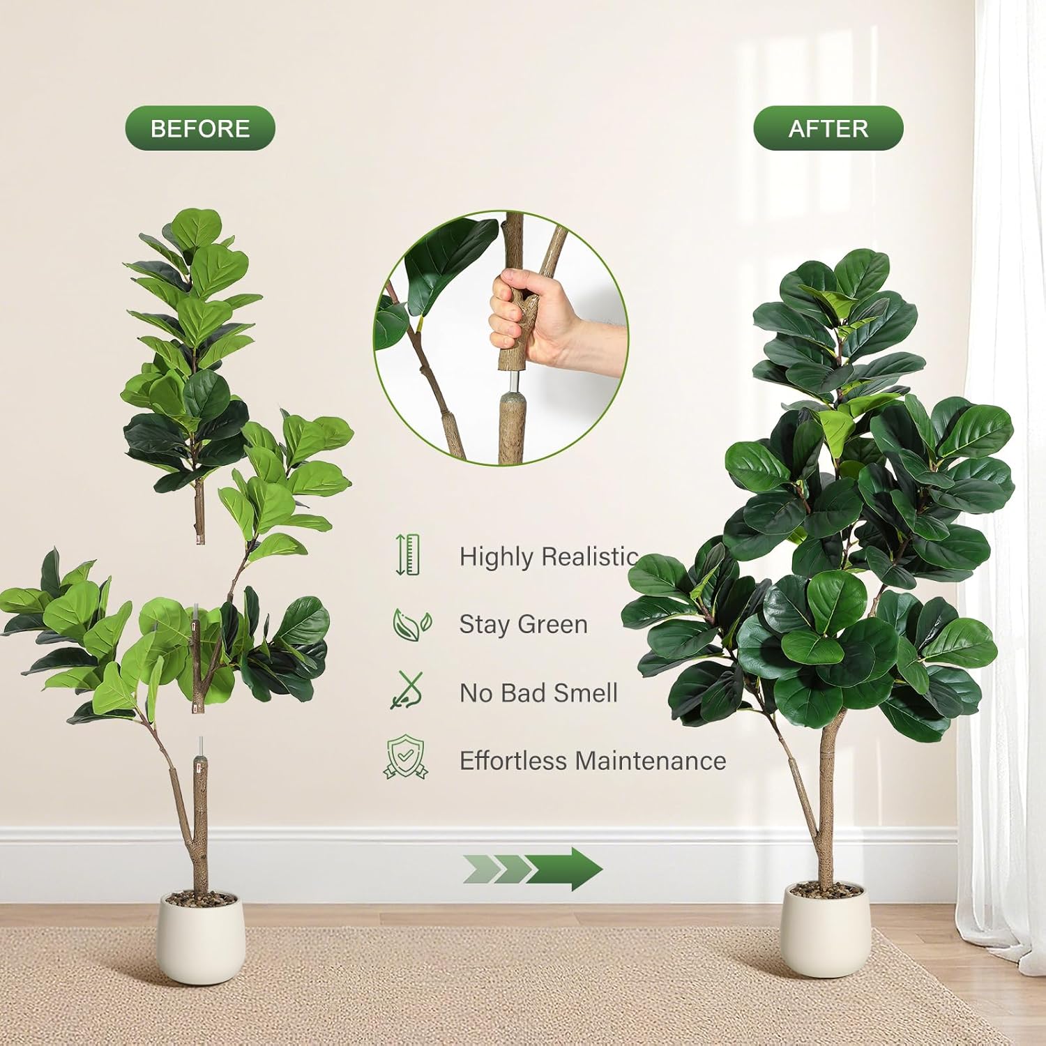 4-7 FT Fiddle Leaf Fig Tree Ar - đánh giá và giá Fiddle Leaf Fig
