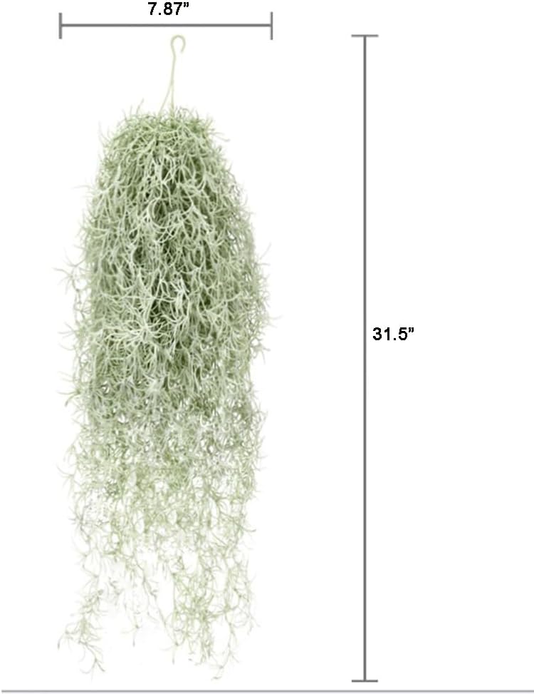 Artificial Flocking Tillandsia - đánh giá và giá Air Plant Tillandsia