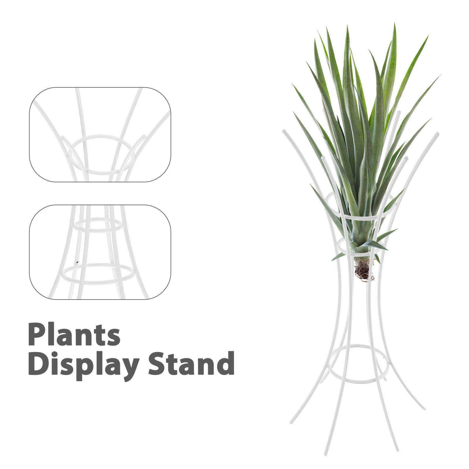 Air Plant Stand Holder Metal D - đánh giá và giá Air Plant Tillandsia