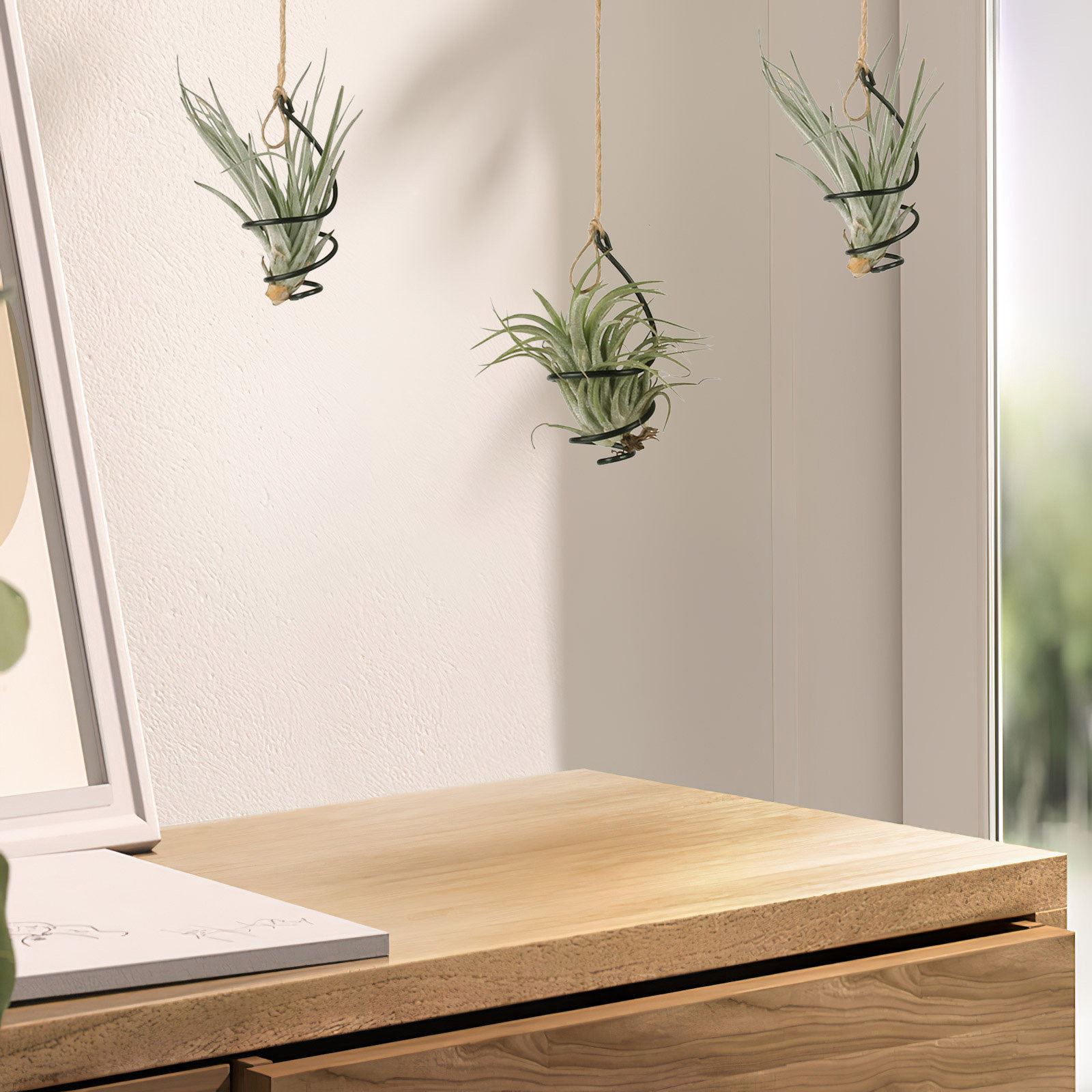 30Pcs Air Plant Holder Spiral  - đánh giá và giá Air Plant Tillandsia