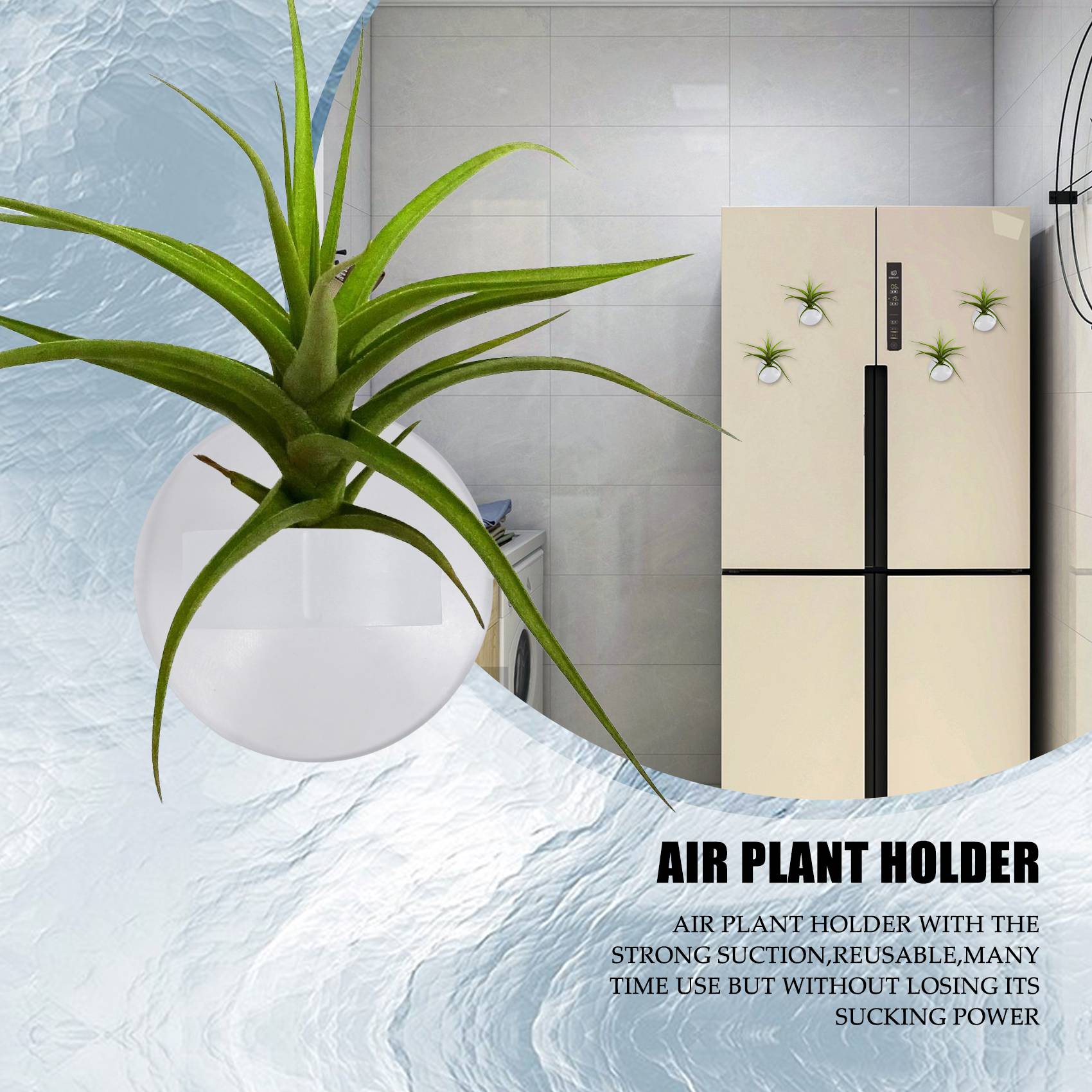 AC76-20 Pcs Air Plant Holder,  - đánh giá và giá Air Plant Tillandsia