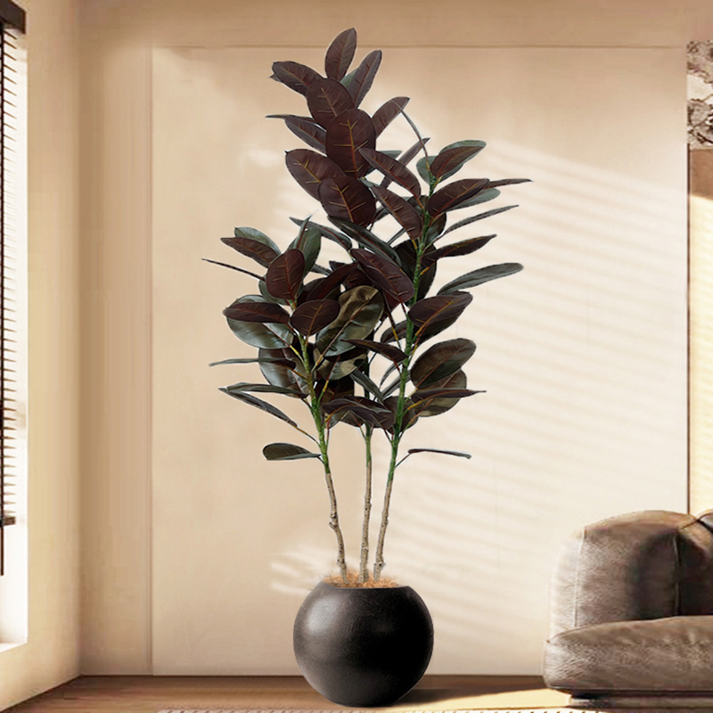 13-70in Large Ficus Tree Artif - đánh giá và giá Rubber Plant Ficus
