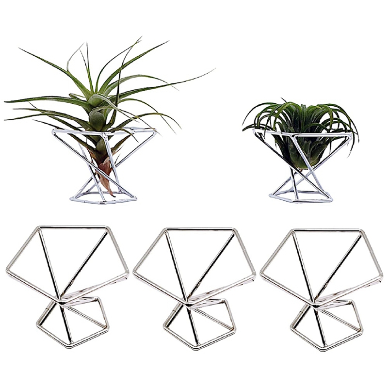 Pack 5 Air Plant Holder Air Pl - đánh giá và giá Air Plant Tillandsia