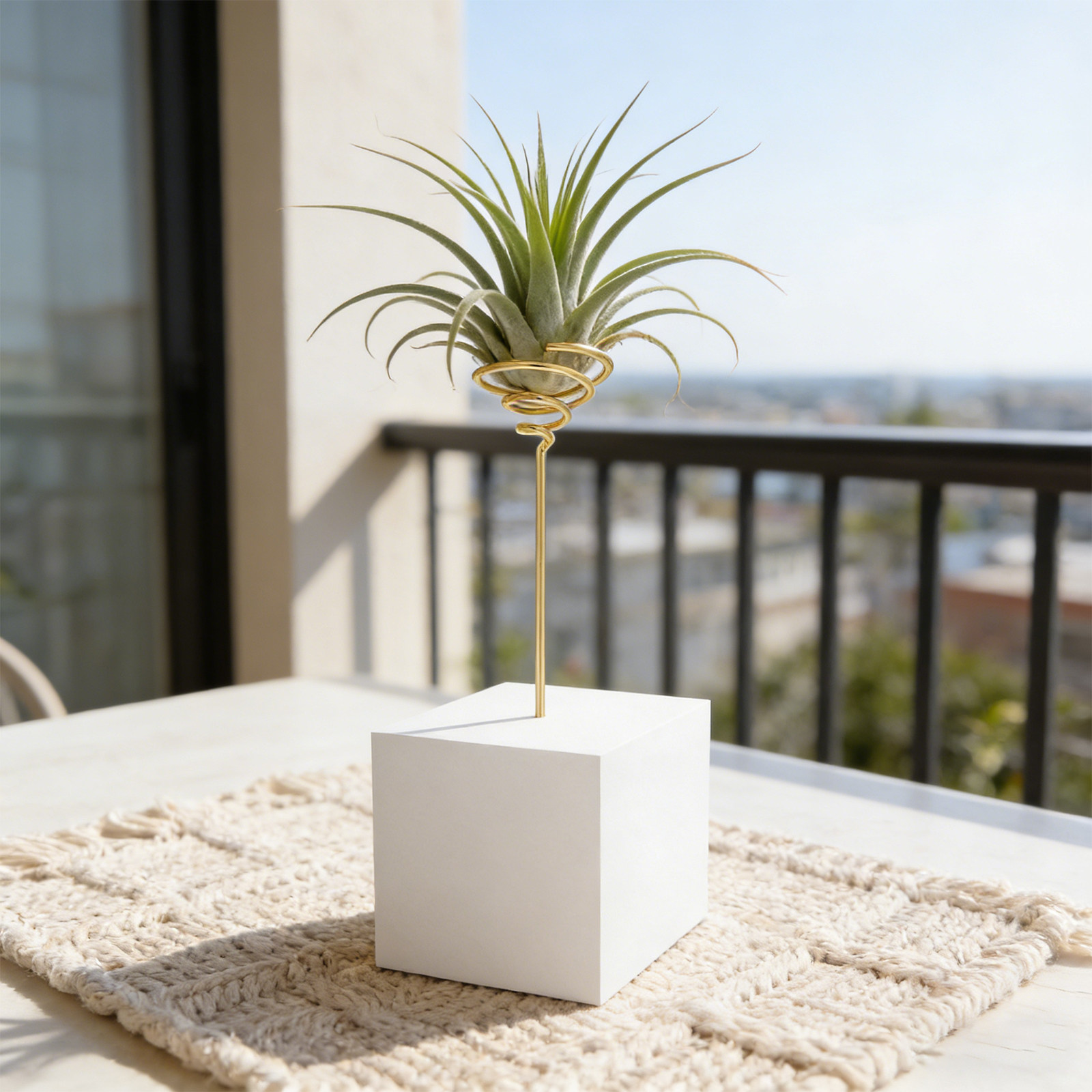 6Pcs Electroplated Metal Air P - đánh giá và giá Air Plant Tillandsia