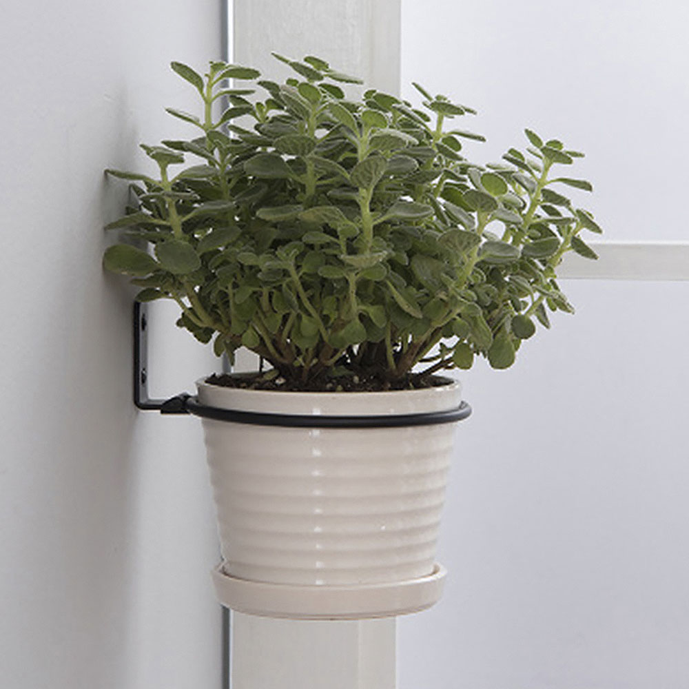 Flower Pot Trays Wall Mounted  - đánh giá và giá Plant Parents