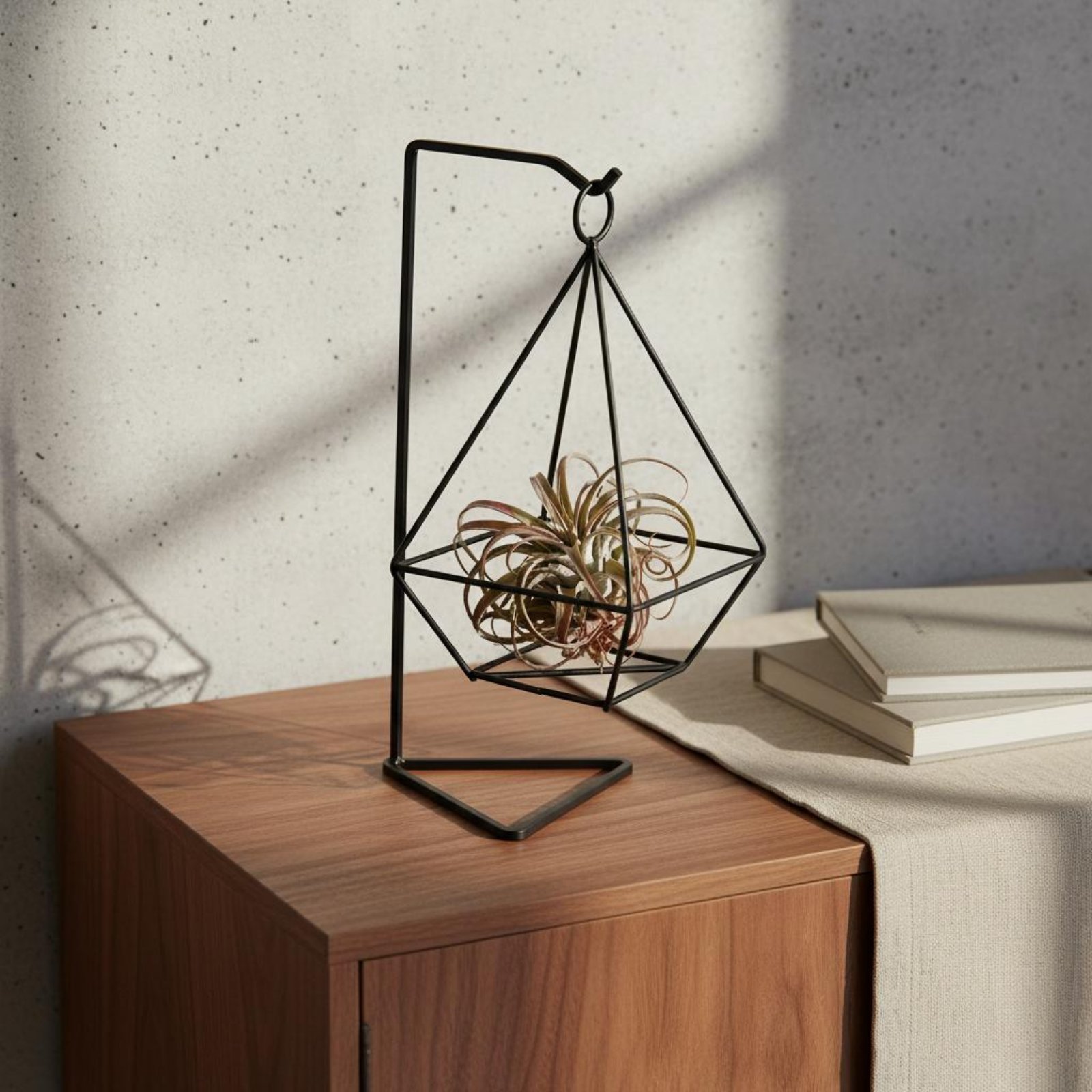 Geometric Air Plant Holder Min - đánh giá và giá Air Plant Tillandsia
