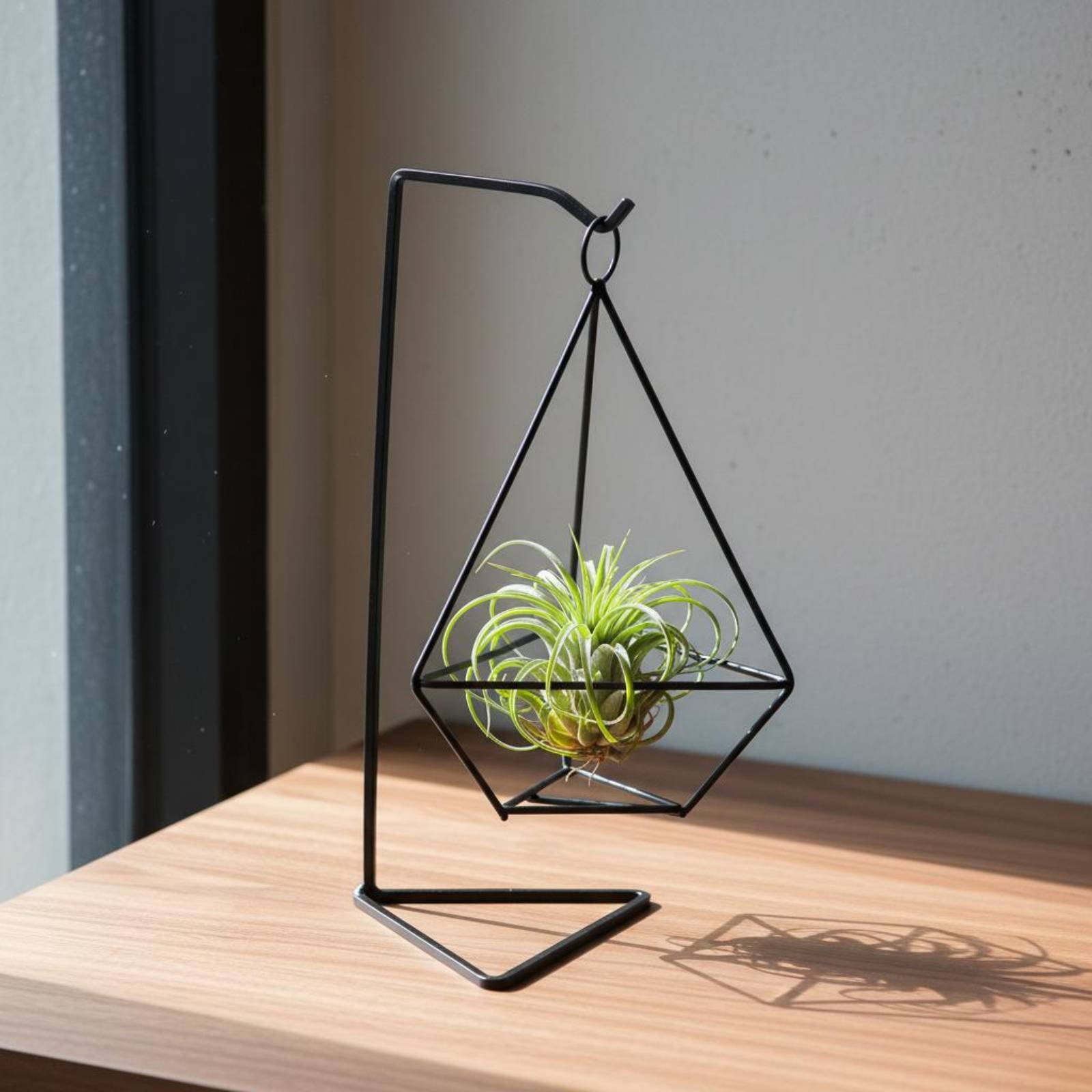 Geometric Air Plant Holder Min - đánh giá và giá Air Plant Tillandsia