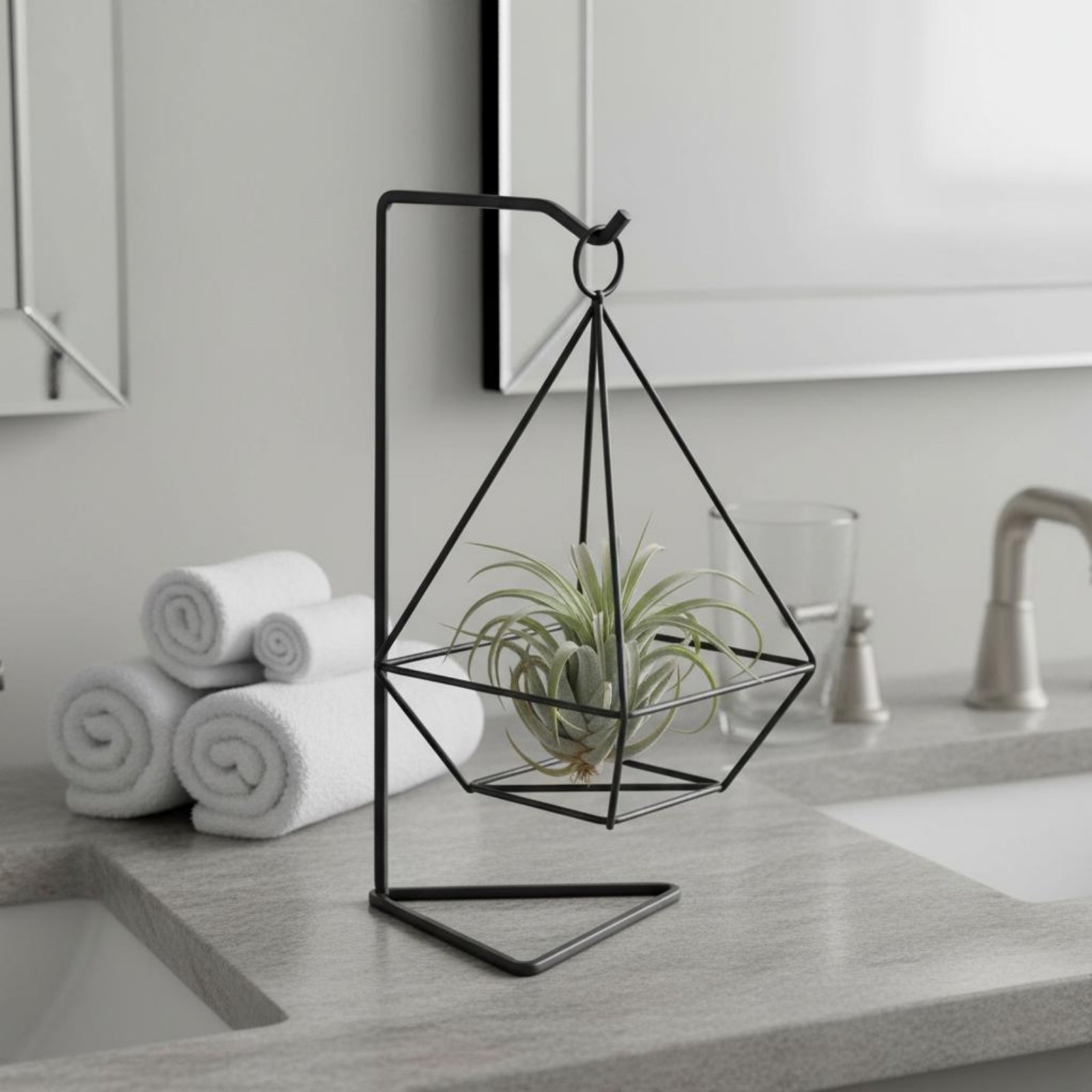 Geometric Air Plant Holder Min - đánh giá và giá Air Plant Tillandsia