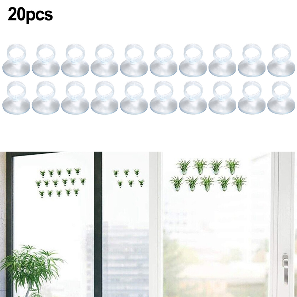 20 Pcs Air Plant Mounting Hold - đánh giá và giá Air Plant Tillandsia