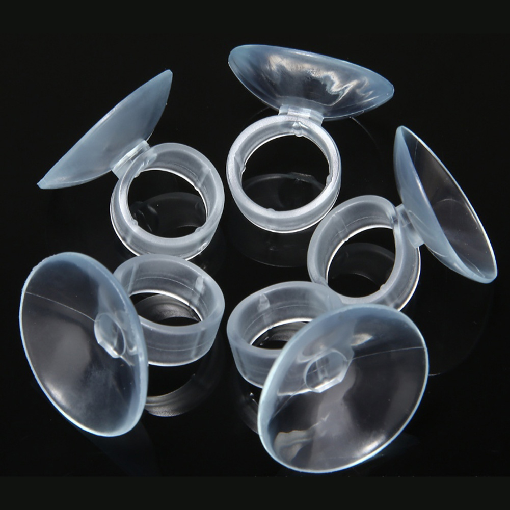 20 Pcs Air Plant Mounting Hold - đánh giá và giá Air Plant Tillandsia
