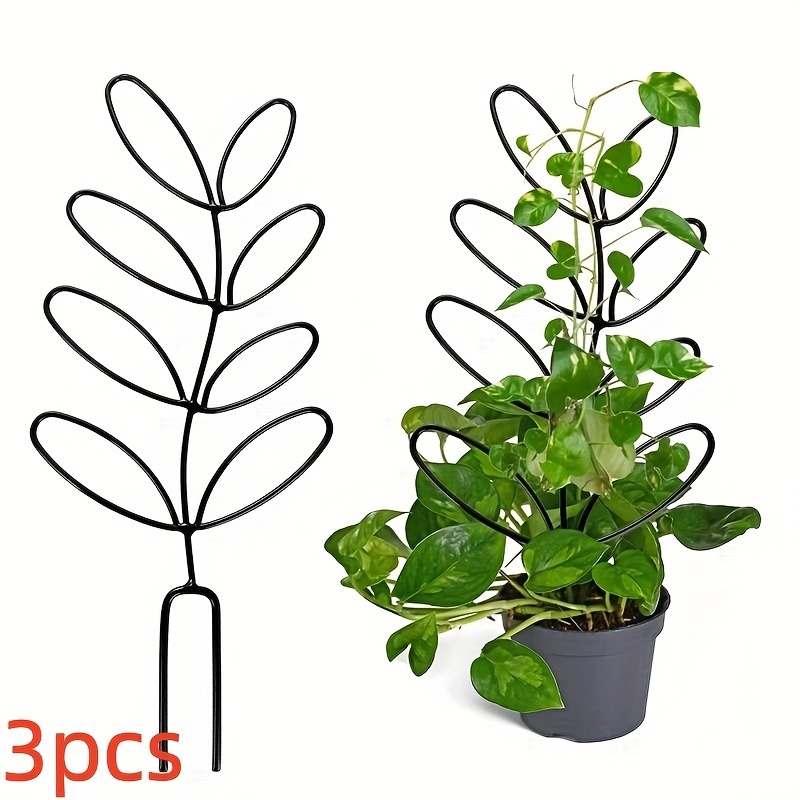 3Pcs Plant Support Frame Climb - đánh giá và giá Plant Parents