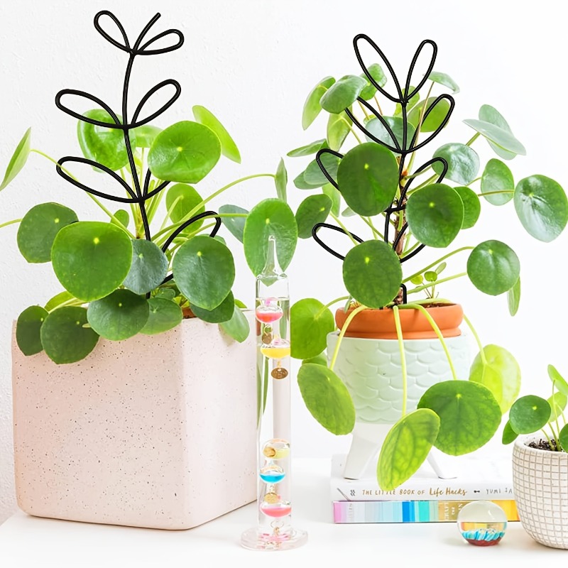 3Pcs Plant Support Frame Climb - đánh giá và giá Plant Parents