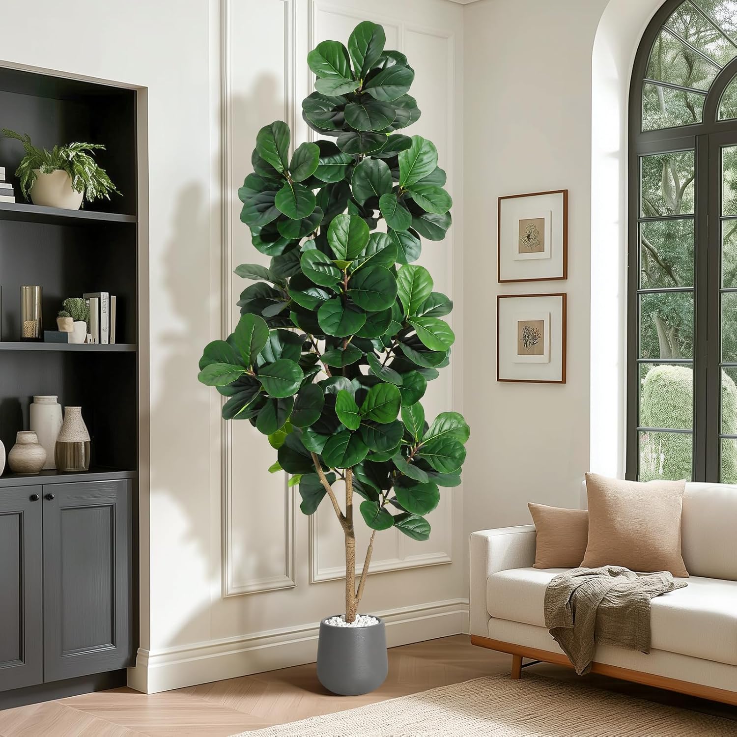 4FT/5FT/6FT/7FT Fiddle Leaf Fi - đánh giá và giá Fiddle Leaf Fig
