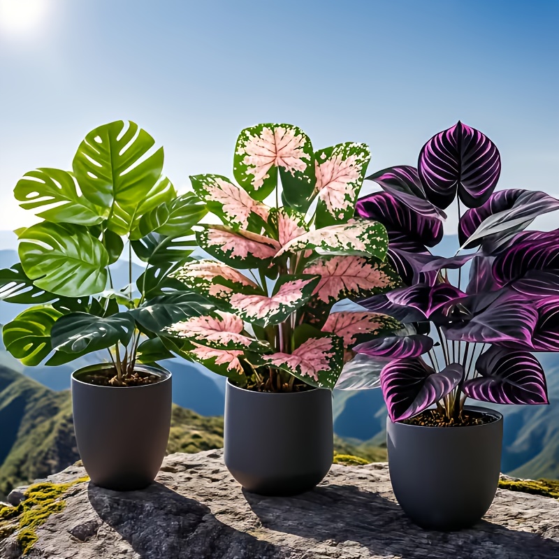 3Pcs Mixed Artificial Plant Se - đánh giá và giá Fiddle Leaf Fig