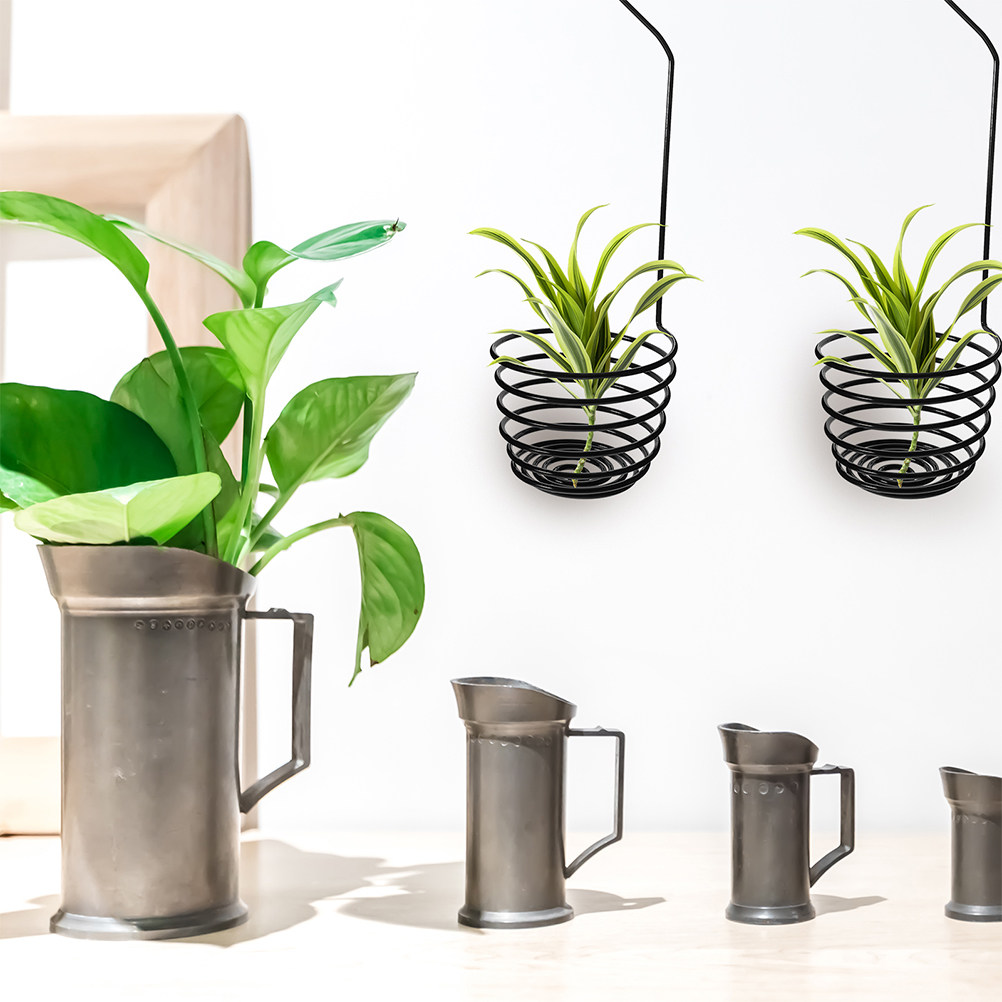 3Pcs Metal Spiral Air Plant Ha - đánh giá và giá Air Plant Tillandsia