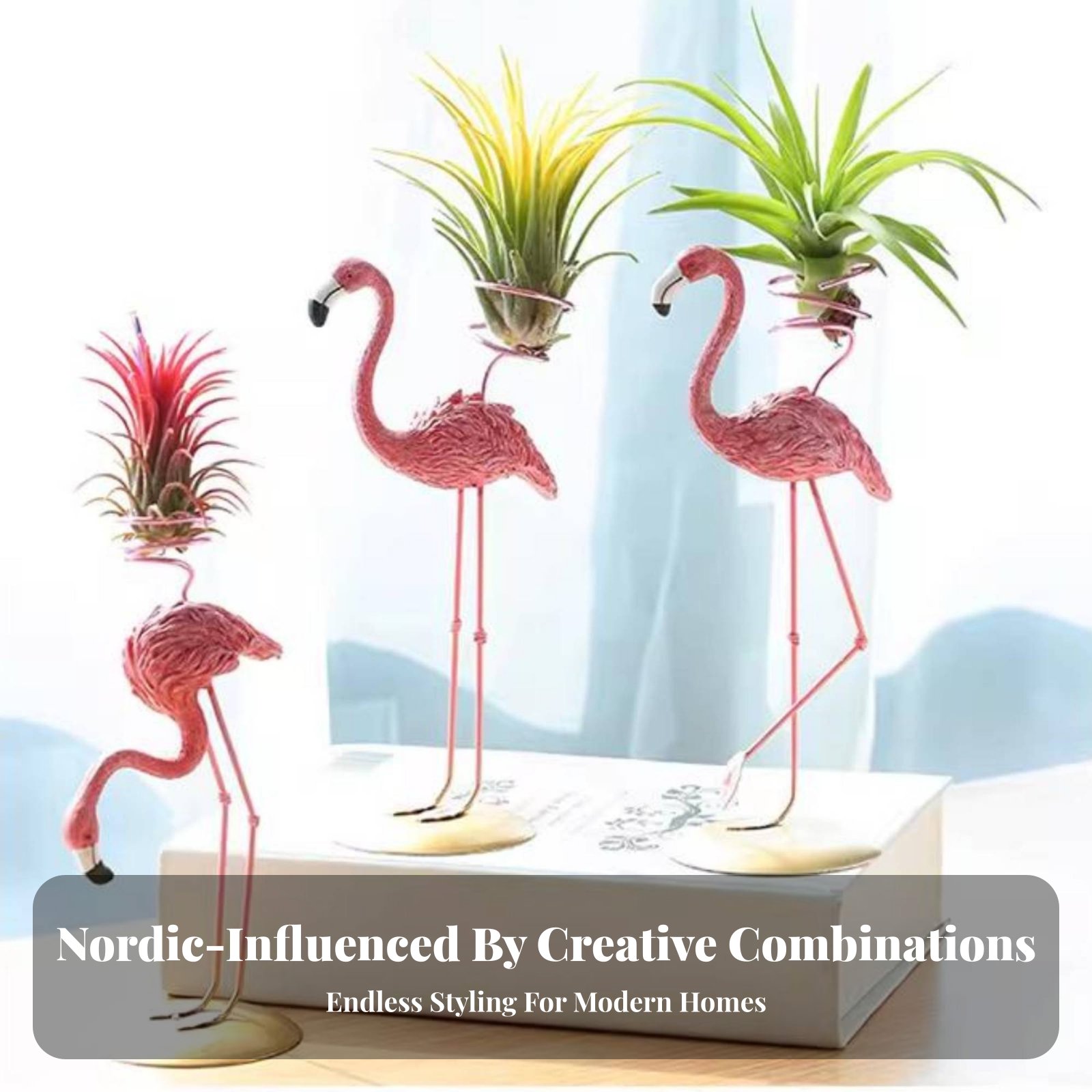 Geometric Tillandsia Holder No - đánh giá và giá Air Plant Tillandsia