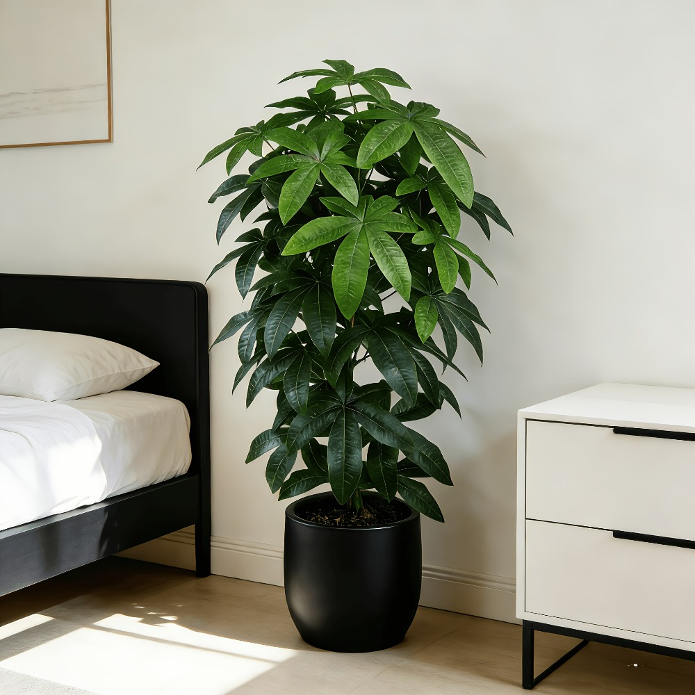 An Artificial Money Tree Pachi - đánh giá và giá Fiddle Leaf Fig