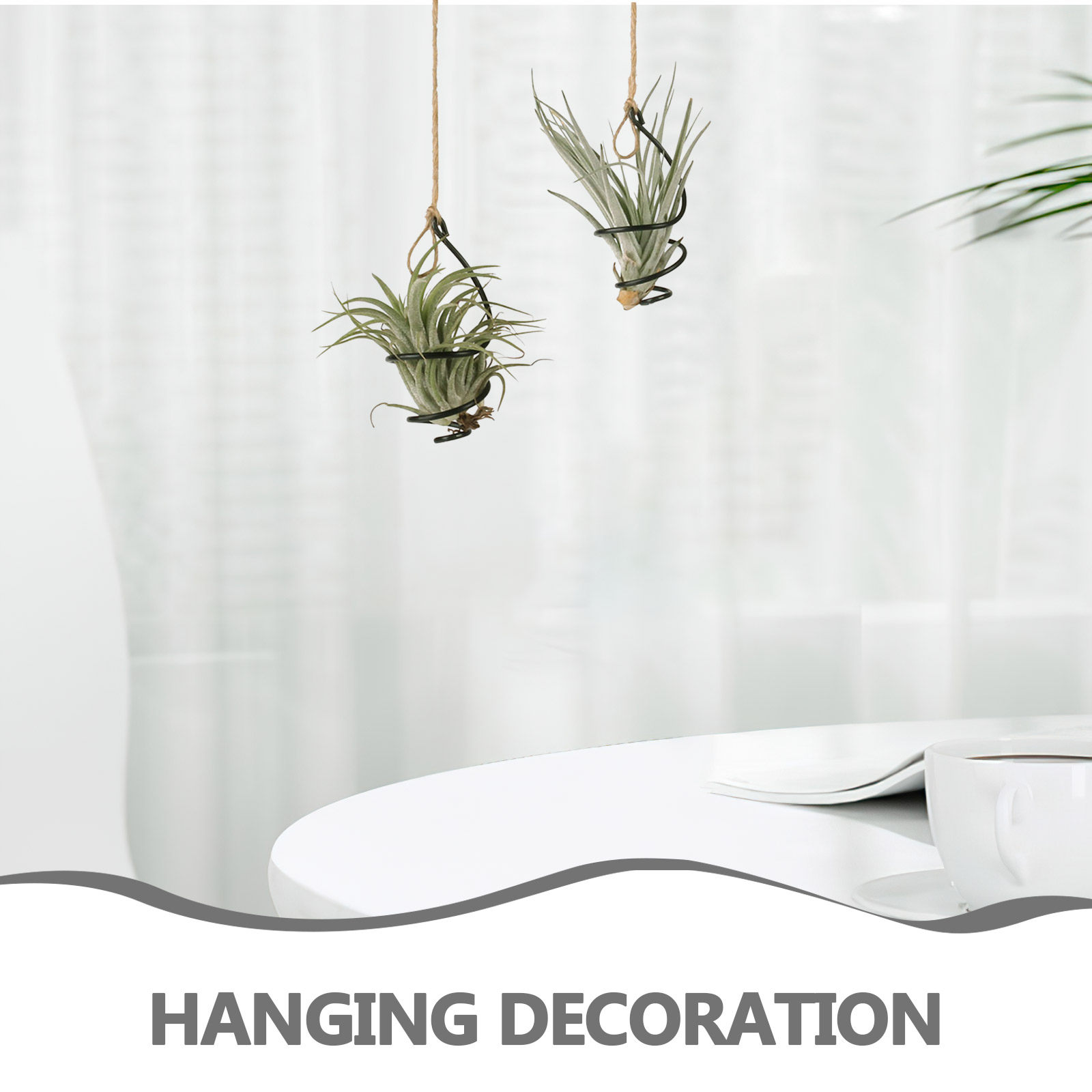 12Set Air Plant Holder Spiral  - đánh giá và giá Air Plant Tillandsia